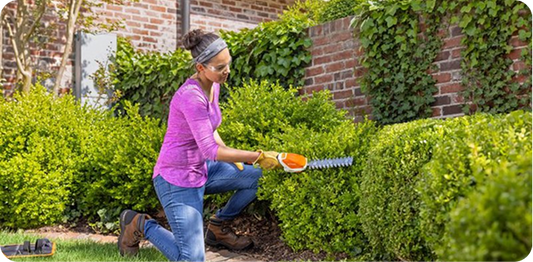 Lawn Care Tips