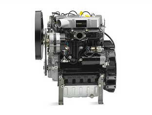 Kohler Engine